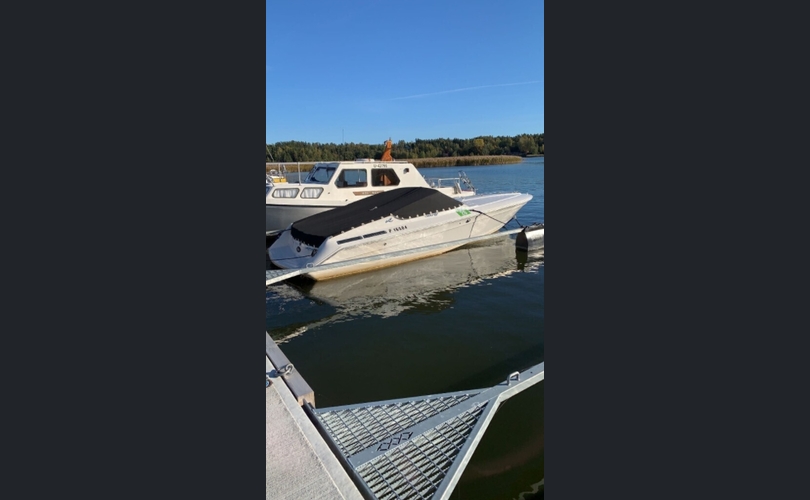 Sea Ray Pachanga-kuva-1